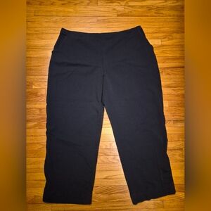 LL Bean Perfect Fit Pants Straight Leg 2x Petite